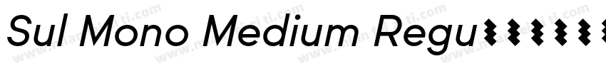 Sul Mono Medium Regu字体转换